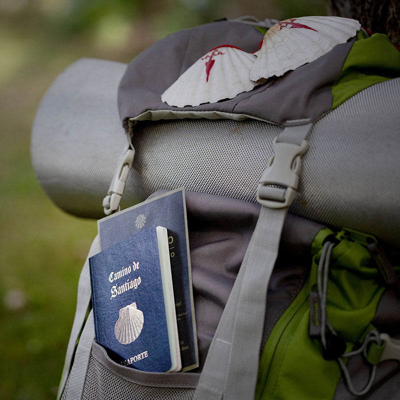 Camino backpack weight best sale