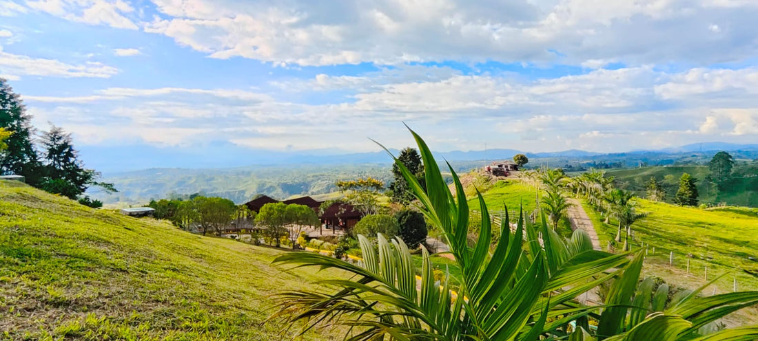 Colombia, more than Coffee